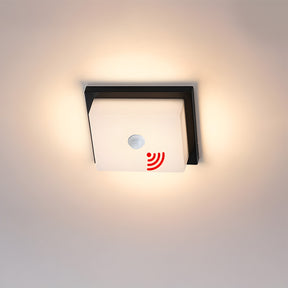 IP65 Rectangular Motion Sensor Aluminium PC Outdoor Ceiling Light for Entryway