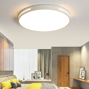 Iron Modern LED Ceiling Lights For Bedroom