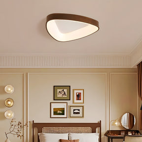 Simple Iron Flush Mount LED Ceiling Lights