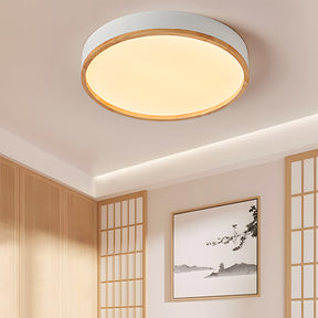 Modern LED Ceiling Lamp Energy Saving Led Lights Ceiling