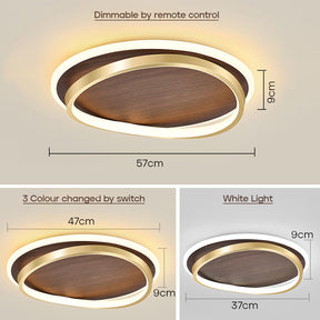 Modern Dimmable Acrylic LED Ceiling Lights