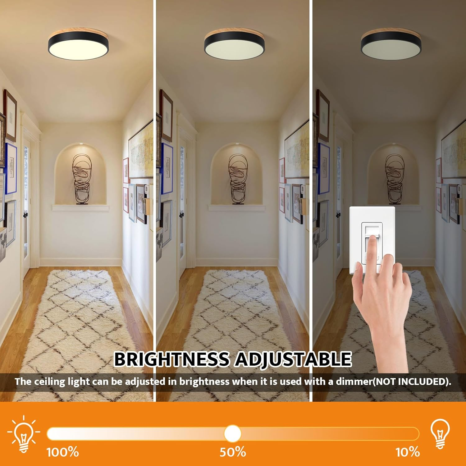 Modern LED Flush Mount Ceiling Light