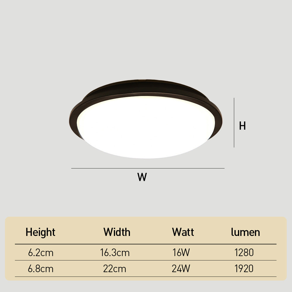 Modern Waterproof LED Outdoor Ceiling Lights for Porch Balcony