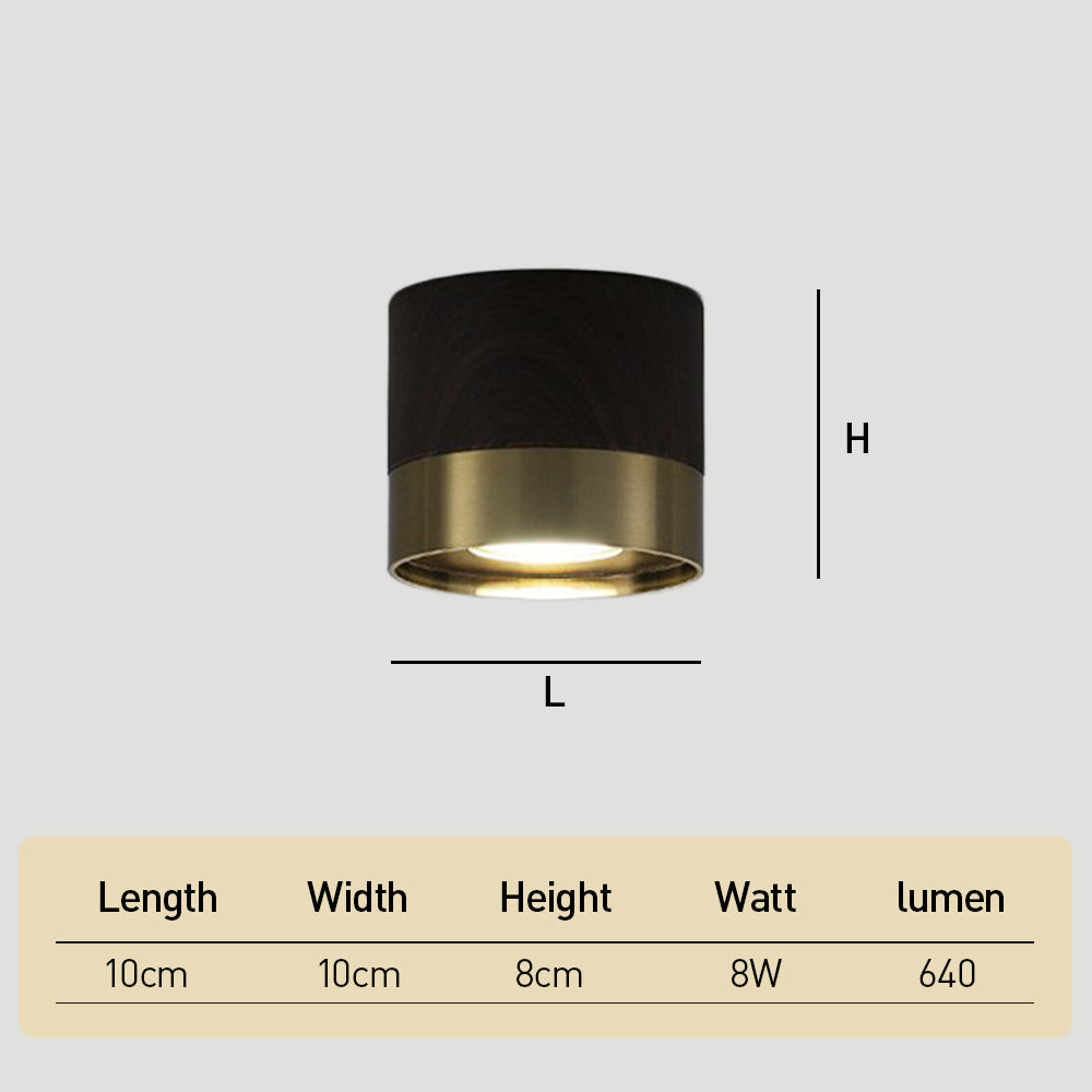 Small Led ceiling light for Hallway, D10cm