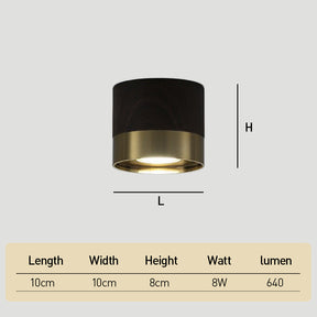 Small Led ceiling light for Hallway, D10cm