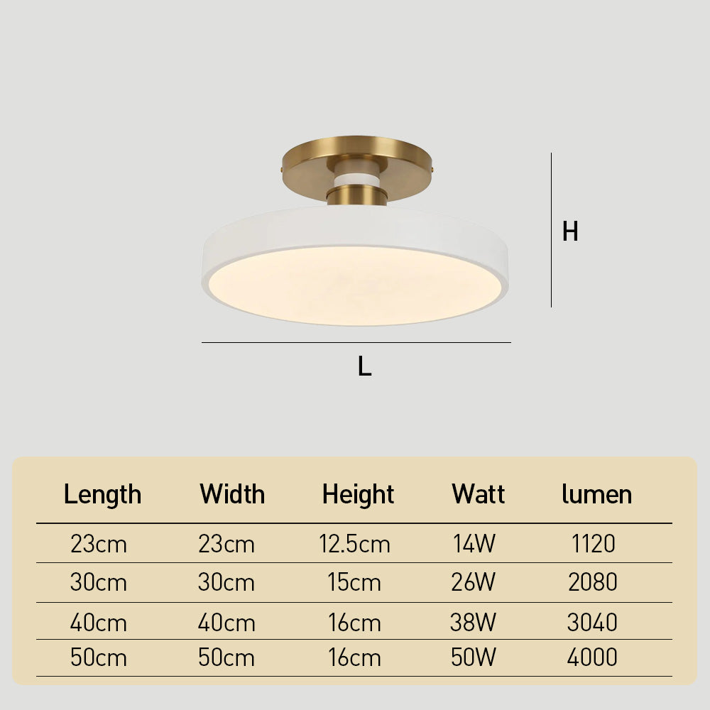 LED Ceiling Lamp Energy Saving Ceiling Lights 3-Color Changeable
