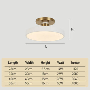 LED Ceiling Lamp Energy Saving Ceiling Lights 3-Color Changeable