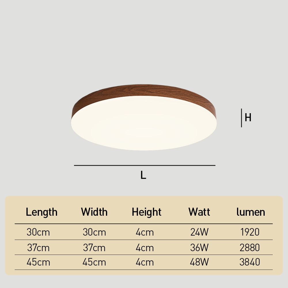 Close-to-Ceiling Lights Round LED Ceiling Lamp