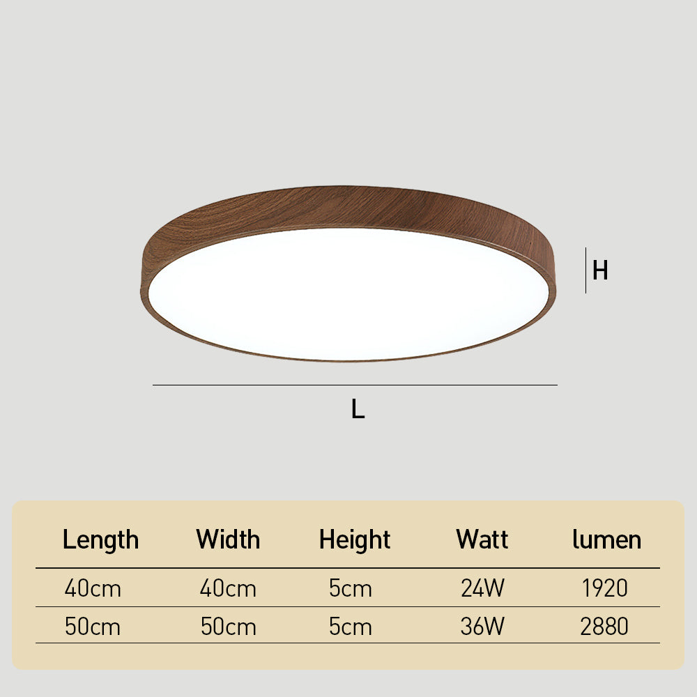 Modern Ceiling Lamp Living Room Led Lighting