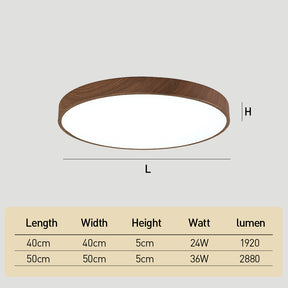 Modern Ceiling Lamp Living Room Led Lighting