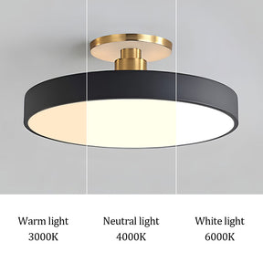 Modern Concise Circular LED Semi Flush Mount Ceiling Light