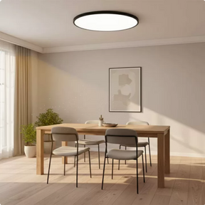 Minimalism Round Led Ceiling Light