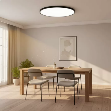 Minimalism Round Led Ceiling Light