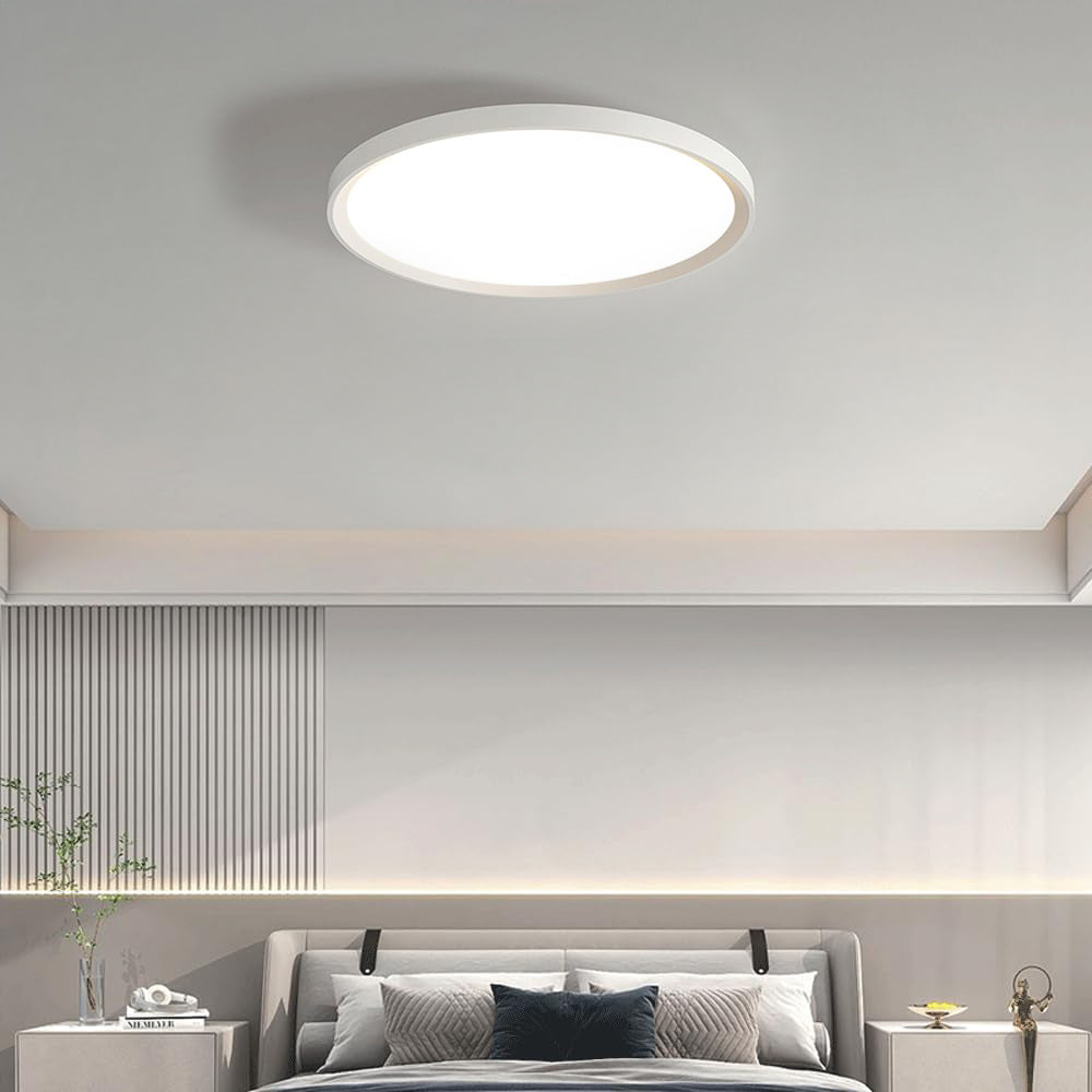 Modern Minimalist Nordic Iron Living Room LED Ceiling Light