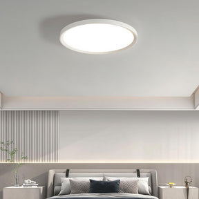 Modern Minimalist Nordic Iron Living Room LED Ceiling Light