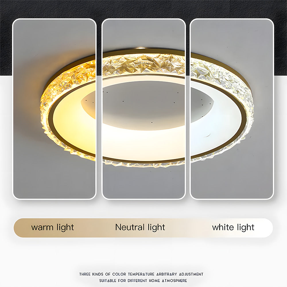 Modern Iron Dimmable LED Living Room Ceiling Lights