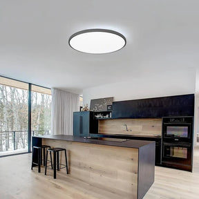 Contemporary Flush LED Ceiling Lights