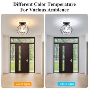 Luna Crystal Cage Ceiling Light