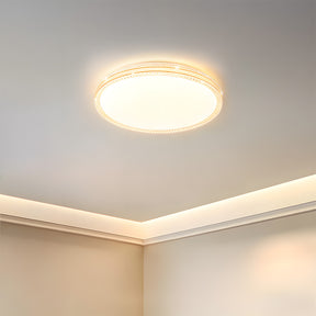 Minimalist Acrylic LED Ceiling Lights for Bedroom Living Room