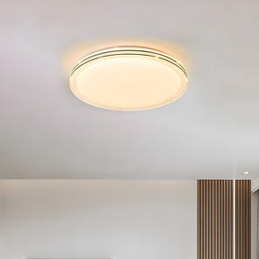 Minimalist Acrylic LED Ceiling Lights for Bedroom Living Room
