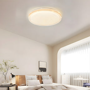 Minimalist Acrylic LED Ceiling Lights for Bedroom Living Room