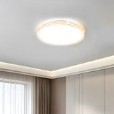 Minimalist Acrylic LED Ceiling Lights for Bedroom Living Room