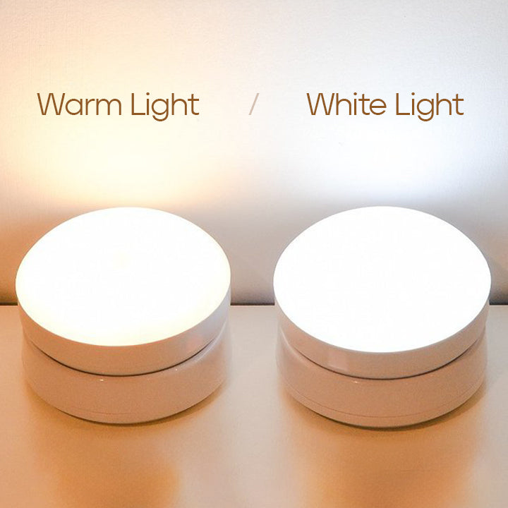 Contemporary Motion Sensor Light