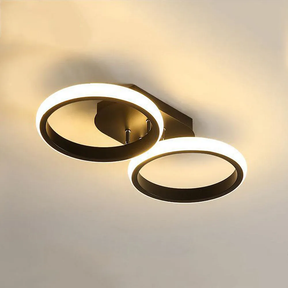 Modern LED Ceiling Light for Bedroom, Living room