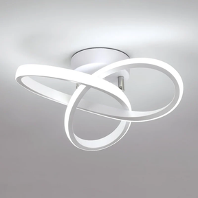 Led lights ceiling fixture for aisle entrance