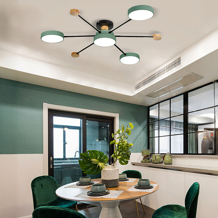 Living Room Ceiling Light