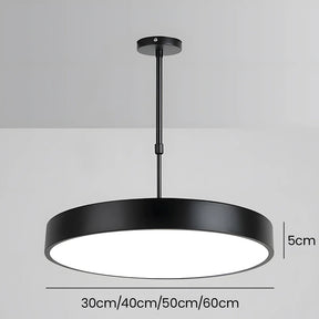 Modern Kitchen Island LED Black Pendant Lights