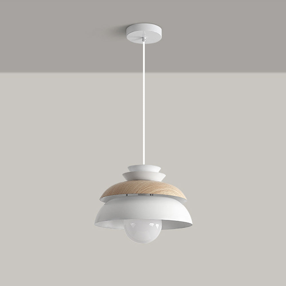 Modern Dome Designer Metal Pendant Light