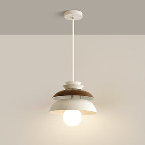 Modern Dome Designer Metal Pendant Light