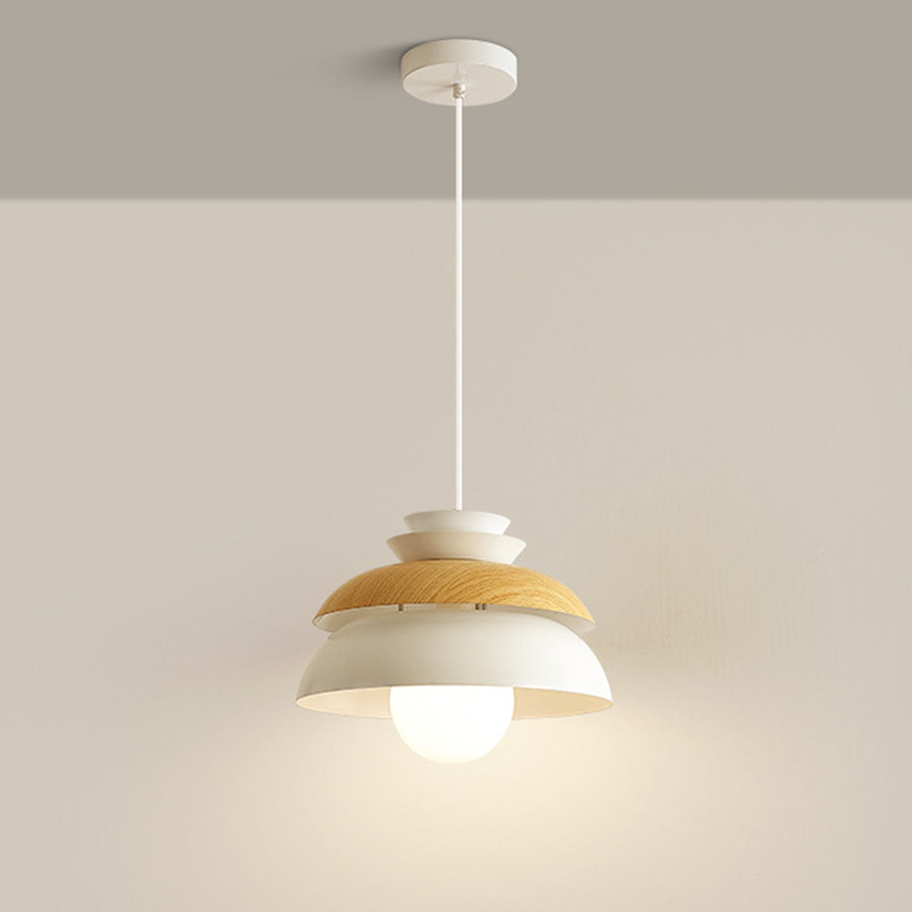 Modern Dome Designer Metal Pendant Light