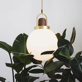 Glass Globe Splendor Pendant Light-Lampsmodern