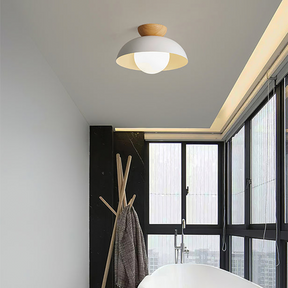 Modern Minimalist Eco-friendly Ceiling Light -Homdiy