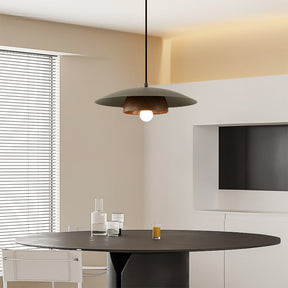 Modern Dome Designer Metal Pendant Light