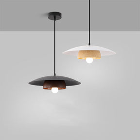 Modern Dome Designer Metal Pendant Light