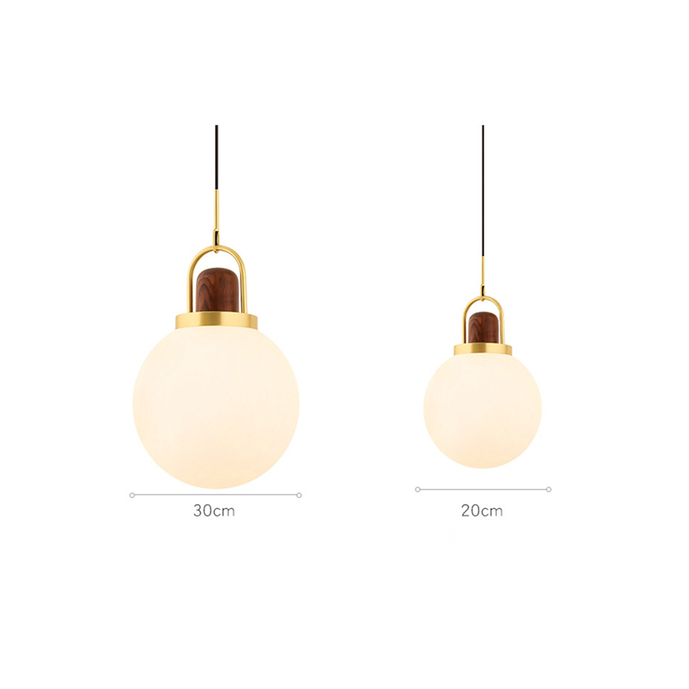 Glass Globe Splendor Pendant Light-Lampsmodern