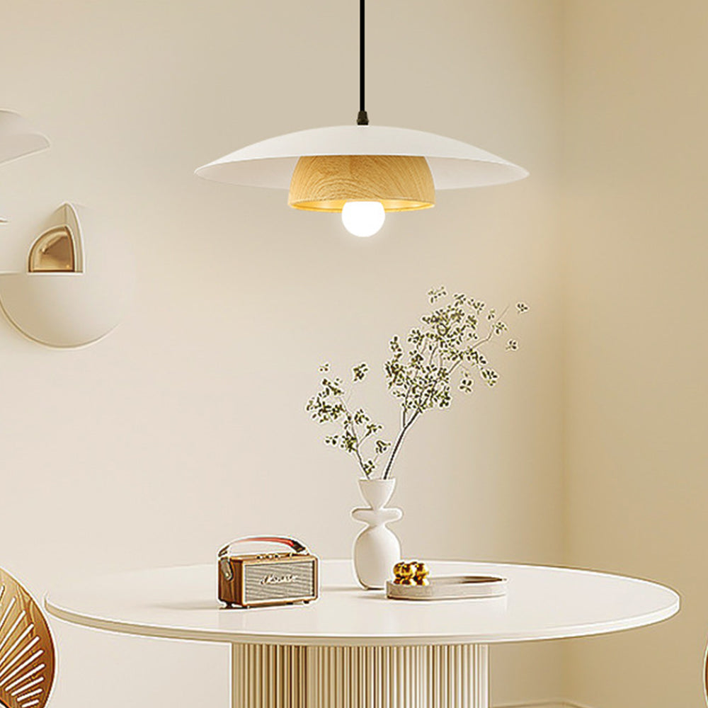 Modern Dome Designer Metal Pendant Light