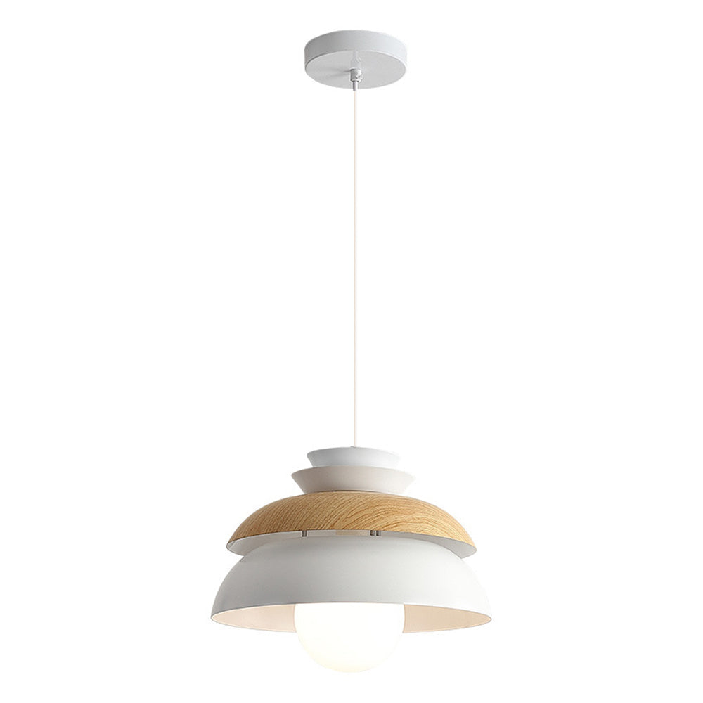 Modern Dome Designer Metal Pendant Light