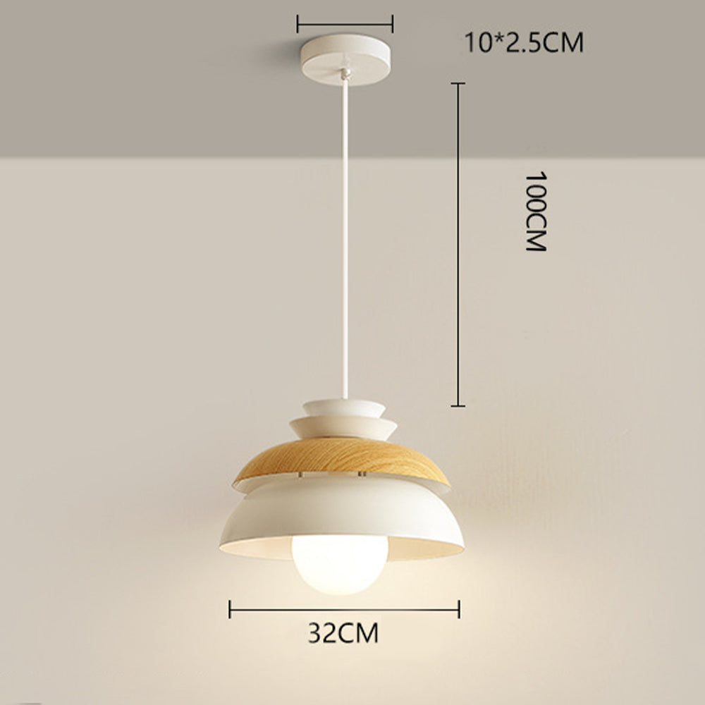 Modern Dome Designer Metal Pendant Light