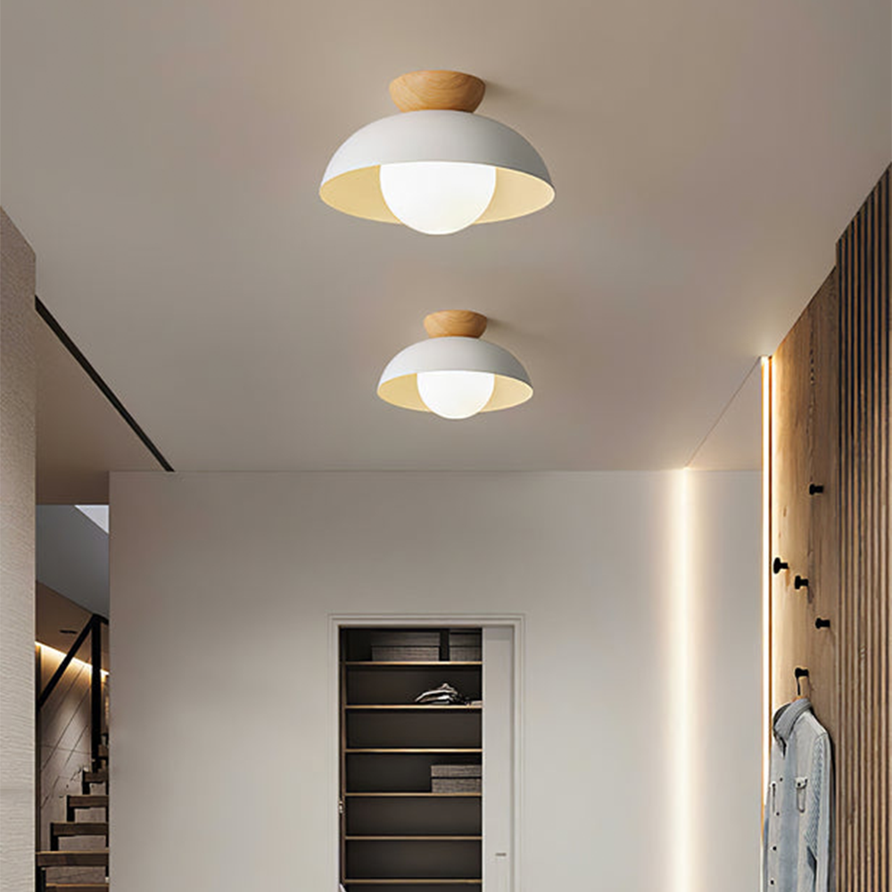 Modern Minimalist Eco-friendly Ceiling Light -Homdiy