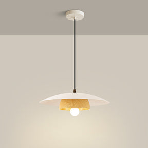 Modern Dome Designer Metal Pendant Light