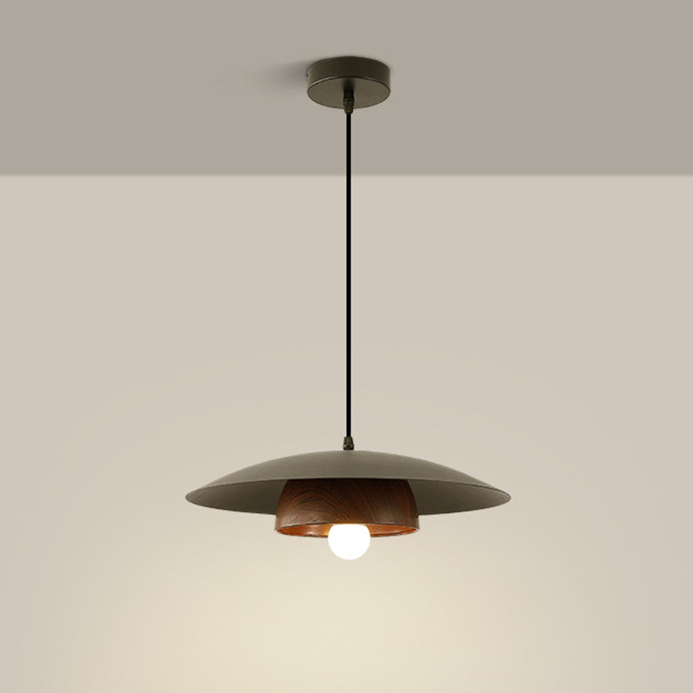 Modern Dome Designer Metal Pendant Light