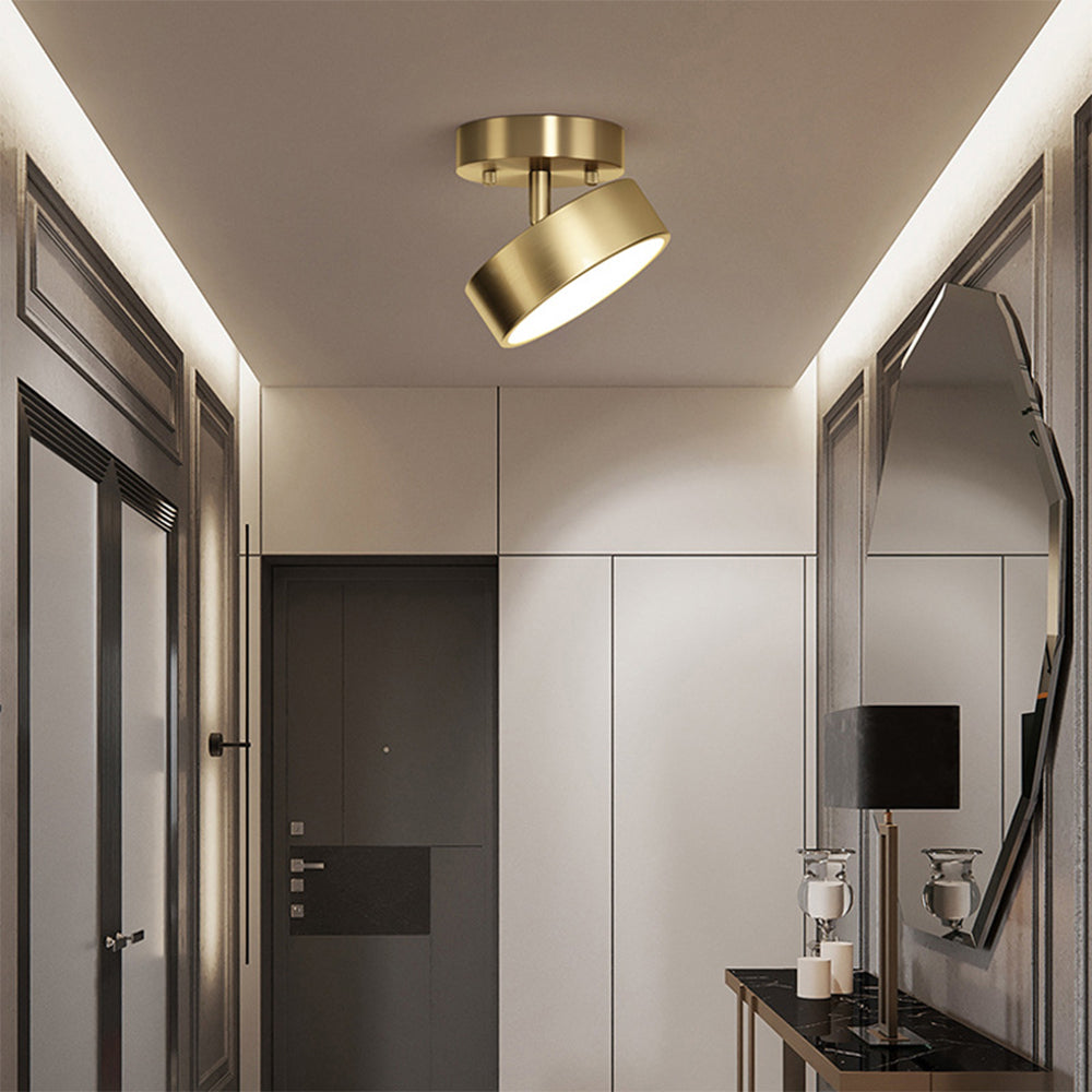 Modern Led Adjustable Ceiling Lights